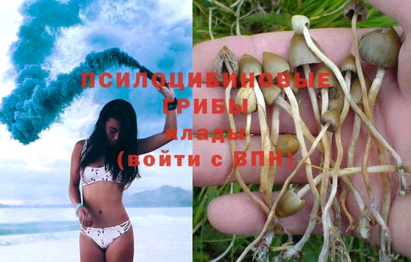 синтетический гашиш Козельск