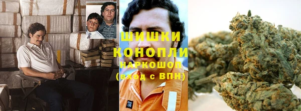 сатива Абдулино