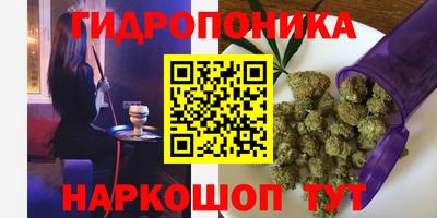 ALPHA PVP Малгобек