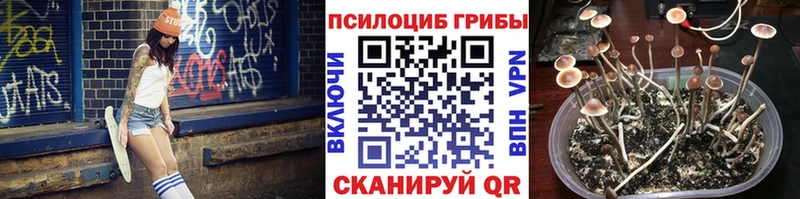 OMG рабочий сайт  Янаул  Псилоцибиновые грибы Magic Shrooms  наркошоп 
