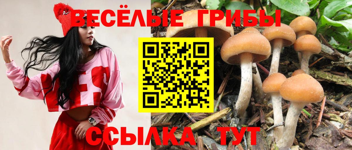 Псилоцибиновые грибы GOLDEN TEACHER Янаул