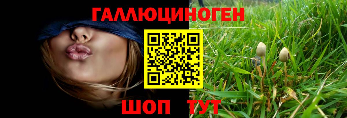 Янаул  Псилоцибиновые грибы мицелий  Вход с VPN  Галлюциногенные грибы прущие грибы 